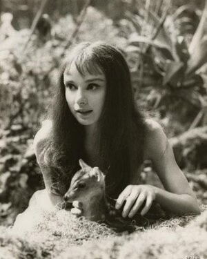 61660_audrey_hepburn_deer_02_122_523lo.jpg