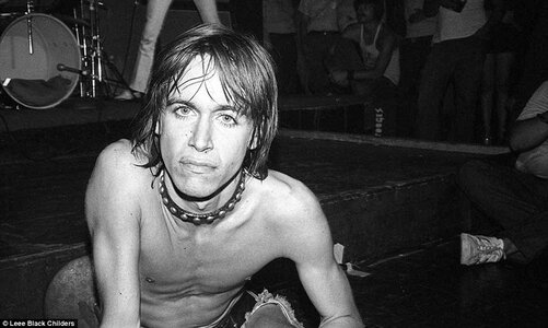 iggypop.jpg